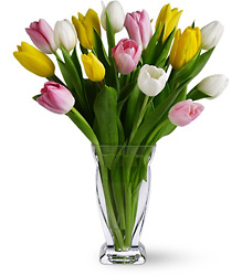 Tulip Splash from Maplehurst Florist, local flower shop in Essex Junction